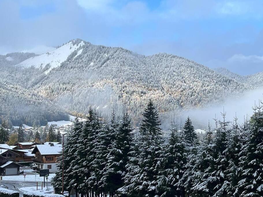 Les Chalets De Montriond B101 外观 照片